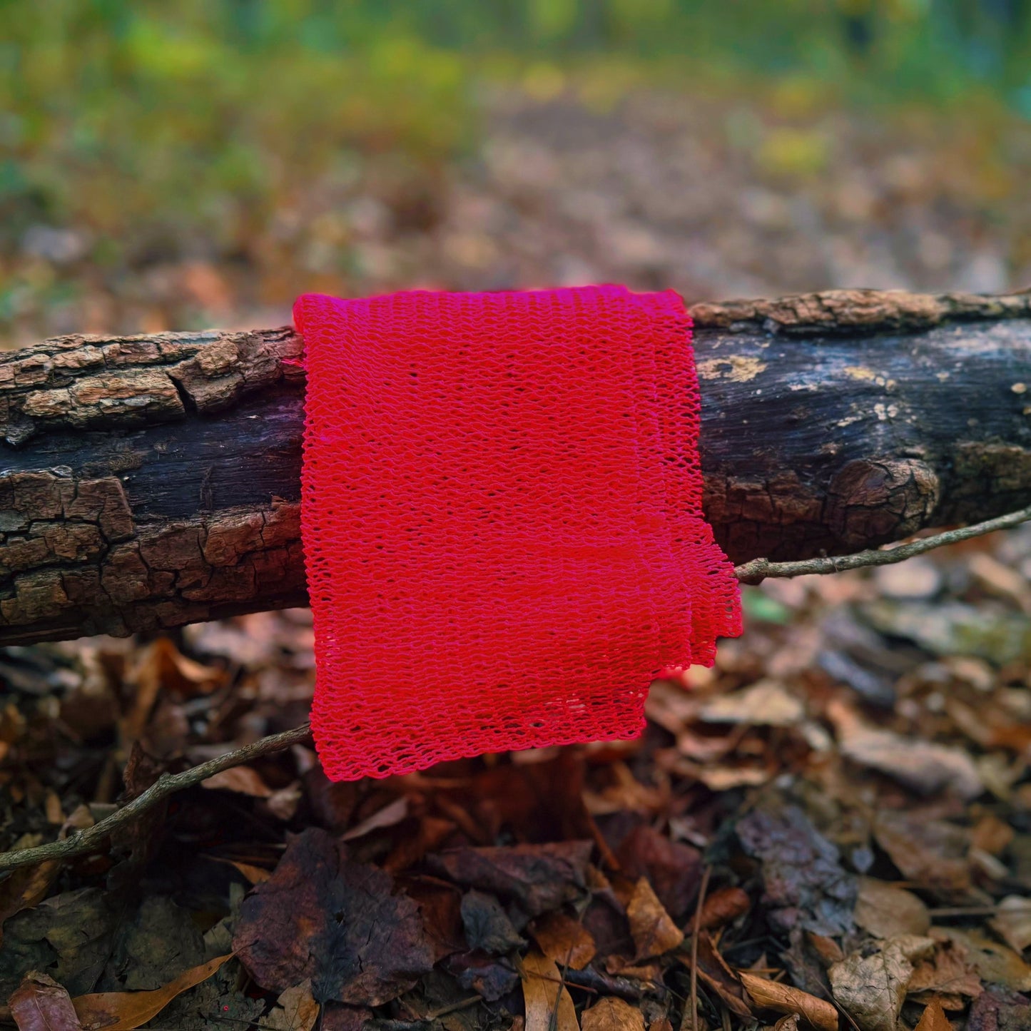 Exfoliating Shower Net - Saponé